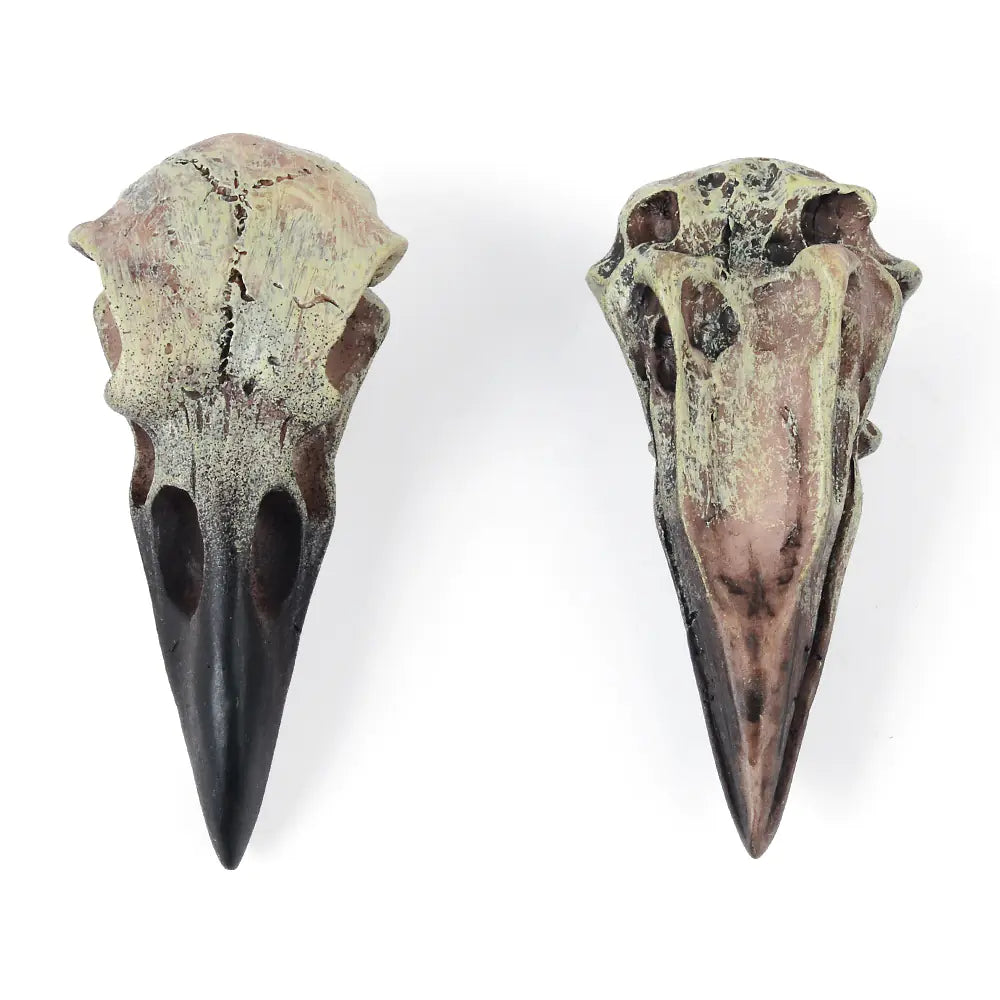 Gothic Resin Crow Skull Necklace Pendant Accessory